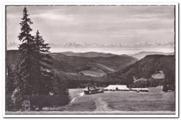 Feldberg 1964 Blick Auf Todtnauer Hütte Und Berner Oberland - Feldberg