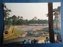 Circuit Des 24 H Du Mans ( 72 ) : Les S Du Tertre Rouge - Le Mans