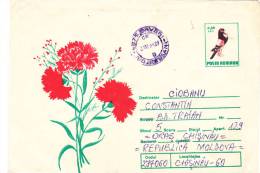 Romania , Rumanie , Pigeon , Birds , Carnations , Used Pre-paid Envelope - Palomas, Tórtolas