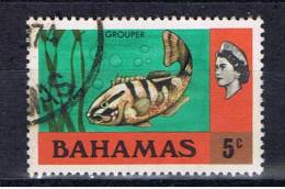 BS+ Bahamas 1971 Mi 322 Fisch - 1963-1973 Interne Autonomie