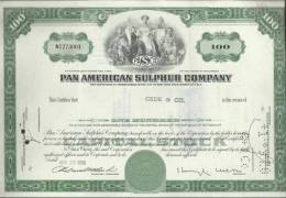 PAN AMERICAN SULPHUR COMPANY - 100 SHARES - 25.08.1969 - 2 SCANS - P - R