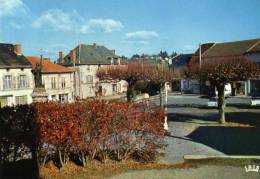 CHATEAUNEUF LA FORET   LA PLACE - Chateauneuf La Foret