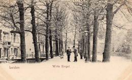 Leiden Witte Singel 1905 Postcard - Leiden