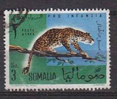 D0082 - SOMALIE AERIENNE Yv N°7  ANIMAUX ANIMALS - Somalia (1960-...)