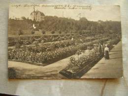 Chemnitz   Rosarium  - PU 1916    D86039 - Chemnitz