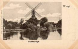 Weesp Stammerdijk 1900 Postcard - Weesp