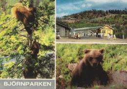 Sweden  Grönklit ORSA    The Biggest Bearpark In Europe  A-254 - Bears