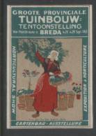 NETHERLANDS HOLLAND 1913 BREDA PROVINCIAL HORTICULTURAL EXHIBITION POSTER STAMP LHM Flowers Plants - Otros & Sin Clasificación