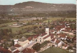 BRANGUES Vue Générale Aérienne - Brangues