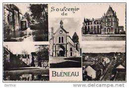 89 Souvenir De BLENEAU - Multivues - Bleneau