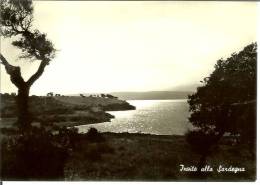 Tirso (Oristano): Invito Alla Sardegna. Cartolina B/n Anni ´50 - Oristano