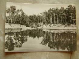 Dübener Heide - Friedrichsee    D86375 - Bad Düben