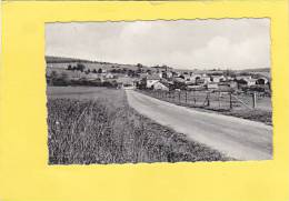 CPSM - B - TORGNY - L'entrée Du Village - Autres & Non Classés