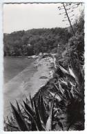 83-LE RAYOL- La Plage- Carte Circulée 1955 - Rayol-Canadel-sur-Mer