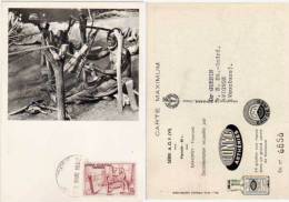Carte Maximum-DAHOMEY - Tisserand  -Cachet Dakar Philatélie-Pub IONYL(50158) - Lettres & Documents
