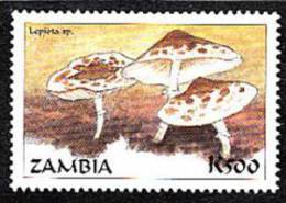 Zm9942 Zambia, Mushrooms Of The World  K500 - Zambie (1965-...)