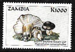 Zm9939 Zambia, Mushrooms Of The World  K1000 - Zambia (1965-...)