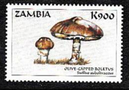Zm9941 Zambia, Mushrooms Of The World  K900 - Zambie (1965-...)