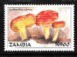 Zm9940 Zambia, Mushrooms Of The World  K900 - Zambie (1965-...)