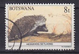 ## Botswana 1987 Mi. 409     8 C Afrikanischer Igel Hedgehog - Botswana (1966-...)