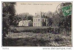 89 BLENEAU - Chateau Du Coudray (cote Nord Est) - Bleneau