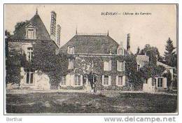 89 BLENEAU - Chateau Des Garniers - Bleneau