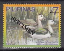 Specimen, Philippines Sc3098d Bird, Cotton Pygmy Goose - Oche