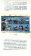 Folder 1991 Taiwan Stream Birds Stamps Bird Duck Kingfisher Fish Resident Migratory River - Wasser
