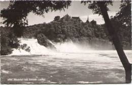 Rheinfall Mit Schloss Laufen - Hôtel Rest Schlösschen Wörth Am Rheinfall Neuhausen - Neuhausen Am Rheinfall