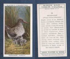 CHROMO PLAYER´S CIGARETTES - BIRDS AND THEIR YOUNG - REEDSHANK FEMALE - Chevalier Gambette - Player's