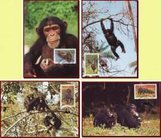 Sierra Leone 1983 - WWF Chimpanzees 4 FDI Maxicards, Monkeys, Wild Animals, Fauna Maximum Cards, FDC - Schimpansen