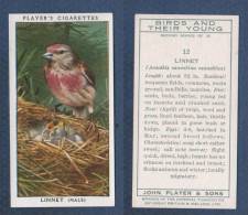 CHROMO PLAYER´S CIGARETTES - BIRDS AND THEIR YOUNG - LINNET MALE - LINOTTE - Player's
