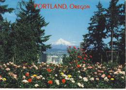 PORTLAND, OR 18.8.88 - View Of Portland, Mount Hood Seen From Washington Park Rose Gardens - Portland