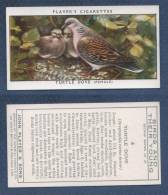 CHROMO PLAYER´S CIGARETTES - BIRDS AND THEIR YOUNG - TURTLE DOVE FEMALE - TOURTERELLE DES BOIS - Player's