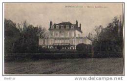 89 BLENEAU - Chateau Saint Georges - Bleneau