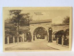 CPA Allemagne - Regensburg - Helenenbrücke - Regensburg