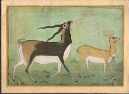 Vintage Black Buck And Doe Vakils Signed Card New Delhi, India - Autres & Non Classés