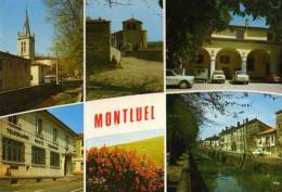 01 MONTLUEL - Montluel