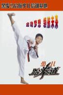 SA33-016  @      Taekwondo  , Postal Stationery -Articles Postaux -- Postsache F - Zonder Classificatie