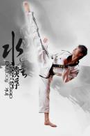 SA33-026  @      Taekwondo  , Postal Stationery -Articles Postaux -- Postsache F - Non Classés