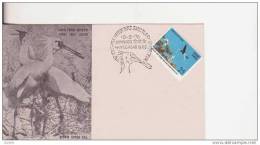 FDC Inde Spatule 1976. - Storks & Long-legged Wading Birds