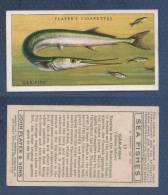 CHROMO PLAYER´S CIGARETTES - SEA FISHES - GAR FISH - ORPHIE - Player's