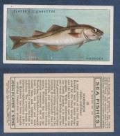 CHROMO PLAYER´S CIGARETTES - SEA FISHES - HADDOCK -  Aiglefin - Player's