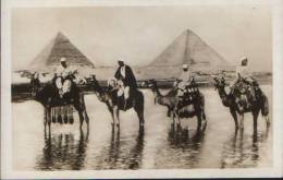 Egypt-Postcard Interwar-The Passage During The Inundation,camels-unused,2/scans. - Piramiden