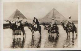 Egypt-Postcard Interwar-The Passage During The Inundation,camels-unused,2/scans. - Piramidi