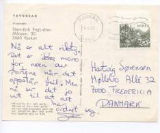 Norway Chess Card Sent To Denmark Rjukan 6-4-1978 - Briefe U. Dokumente