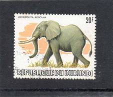 BURUNDI : Eléphant  De Savane D'afrique  (Loxodonta Africana) - Mammifère - Famille Des Éléphantidés - Elefanten