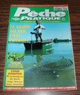 Revue Magasine MAGAZINE Pêche Pratique N° 29 Août 1995 Le Silure Au Ver, C'est Payant .... - Fischen + Jagen