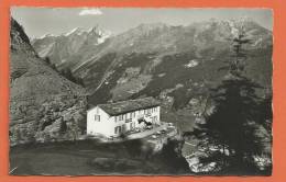 Q537, Zermatt, Restaurant Edelweiss, Dom , Täschhorn, 5146, Tea-House,  Non Circulée - Täsch