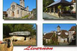 46 LIVERNON, Mouton - Livernon